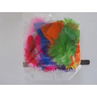 Fishing Feathers - Assorted